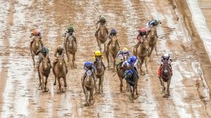 Which 2026 Kentucky Oaks Contenders Should Thrive on a Wet Track? 